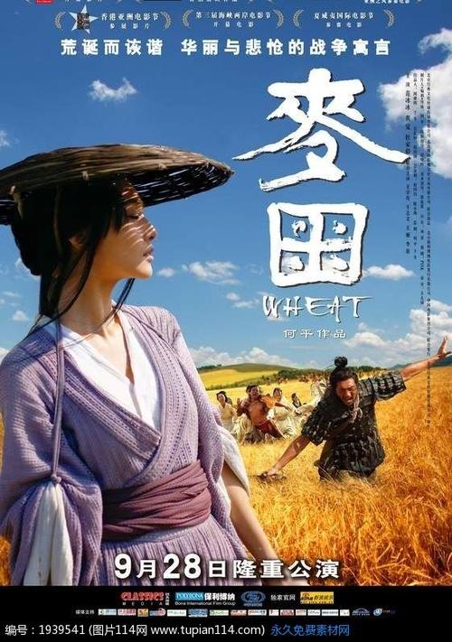 乌迪内音乐学院国际商务文凭证书
